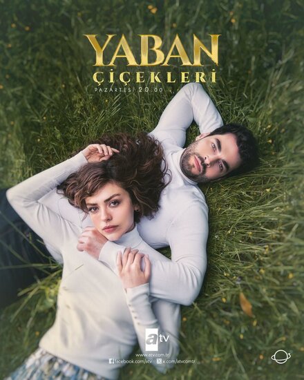 Дикие цветы poster